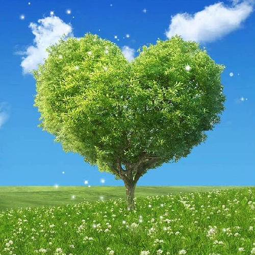 從吃火鍋來測驗你的脾氣是好是壞呢?